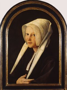 Portret van Agatha van Schoonhoven, 1529